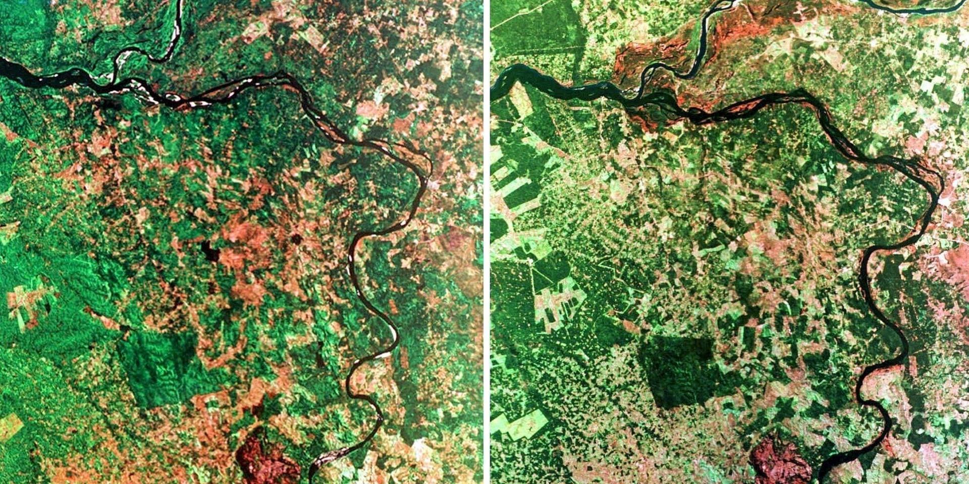 Delstaterna Tocantins, Maranhao and Para från rymden, i augusti 1995 och maj 1997. Skillnaderna är stora och avverkningen av regnskogen fortsätter.