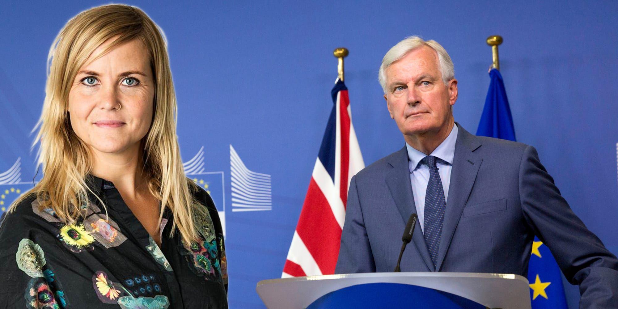 EU:s chefsförhandlare Michel Barnier har lyckats ena 27 medlemsländer i brexitfrågan. 