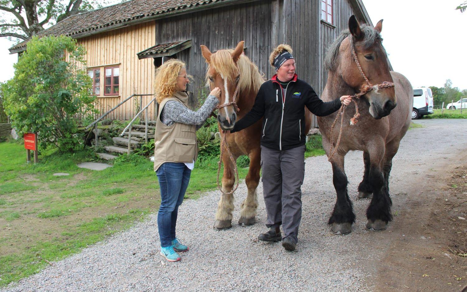 Hästarna Troja och Hera gillar att jobba med gårdsarbetet, berättar Jessica Bergqvist. Till vänster står Wendela Sanne Öhrnell. Bild: Lisa Henricson