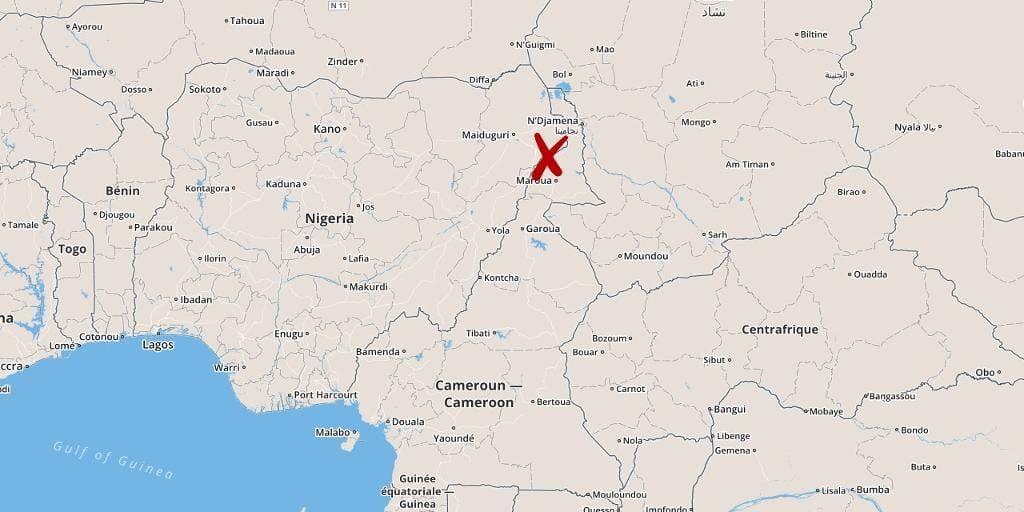 Minst tio personer ska ha dödats i en självmordsattack i norra Kamerun.