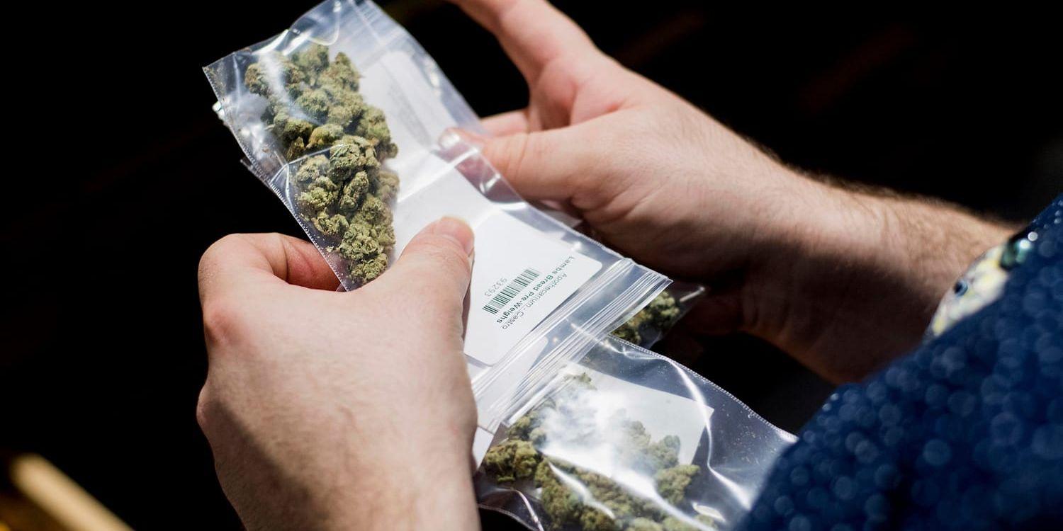 Marijuanaförsäljning väntas bli laglig i Kanada till sommaren. Arkivbild.