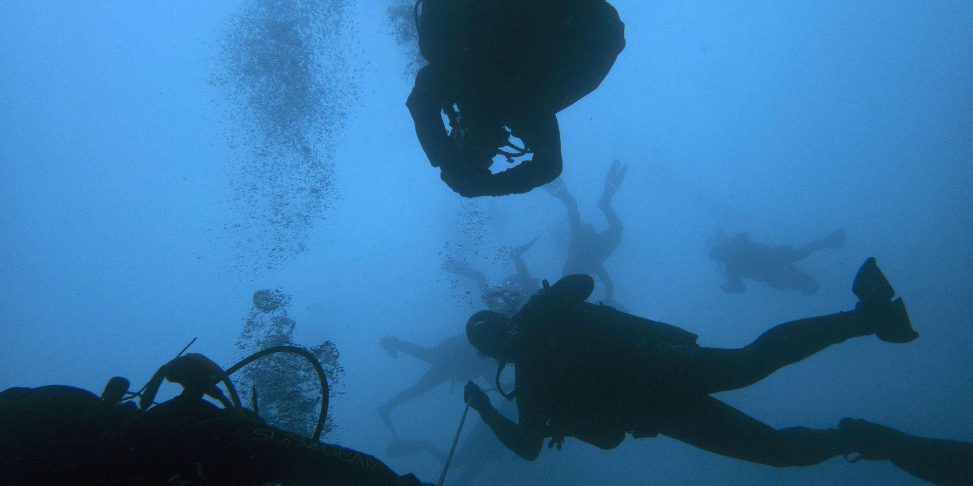 Sju personer deltog i dykningen vid Mastvraket. Bilden är dock tagen i ett helt annat sammanhang. Arkivbild. 