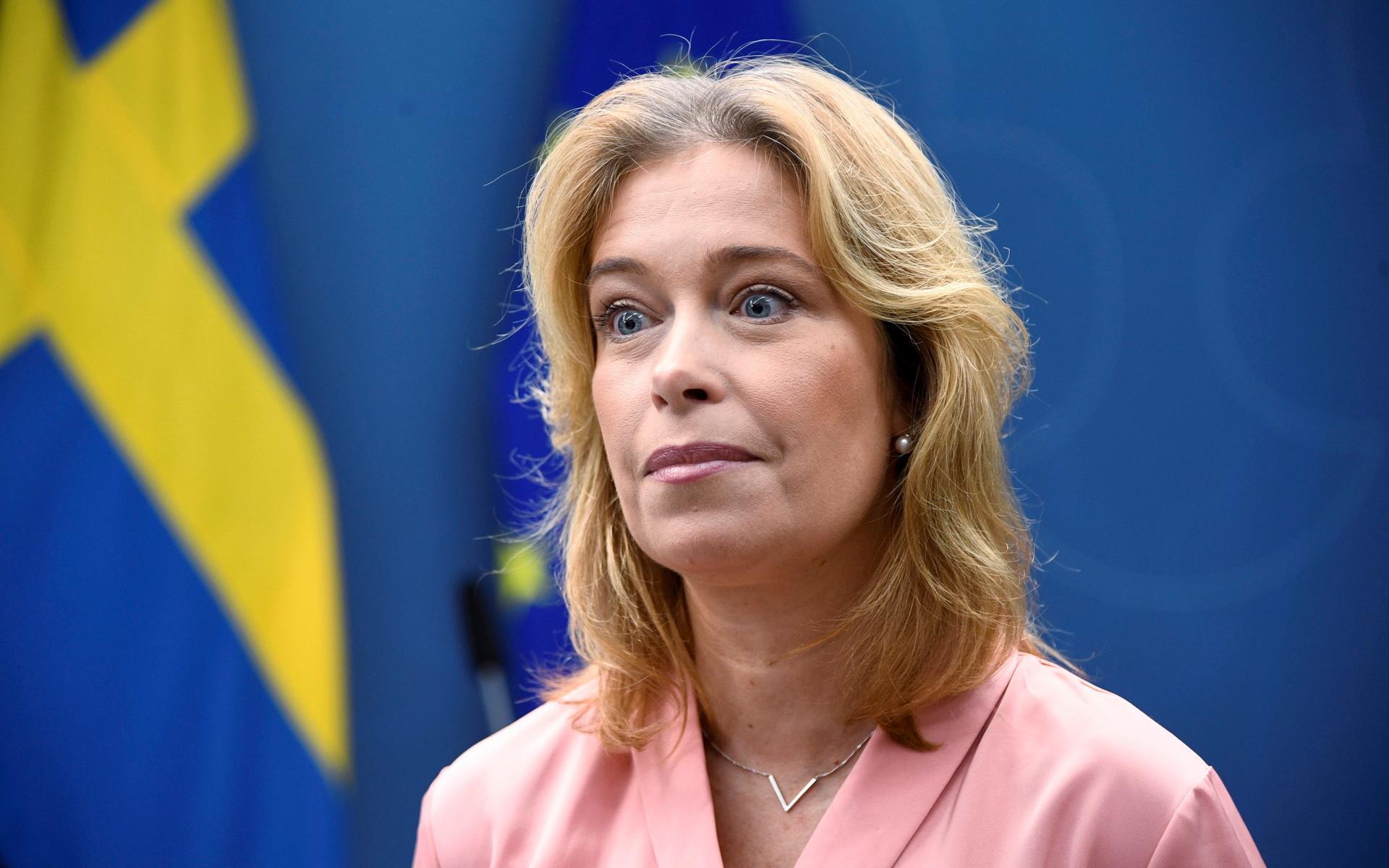 Klimat- och miljöministern Annika Strandhäll (S) håller pressträff om havsbaserad vindkraft.