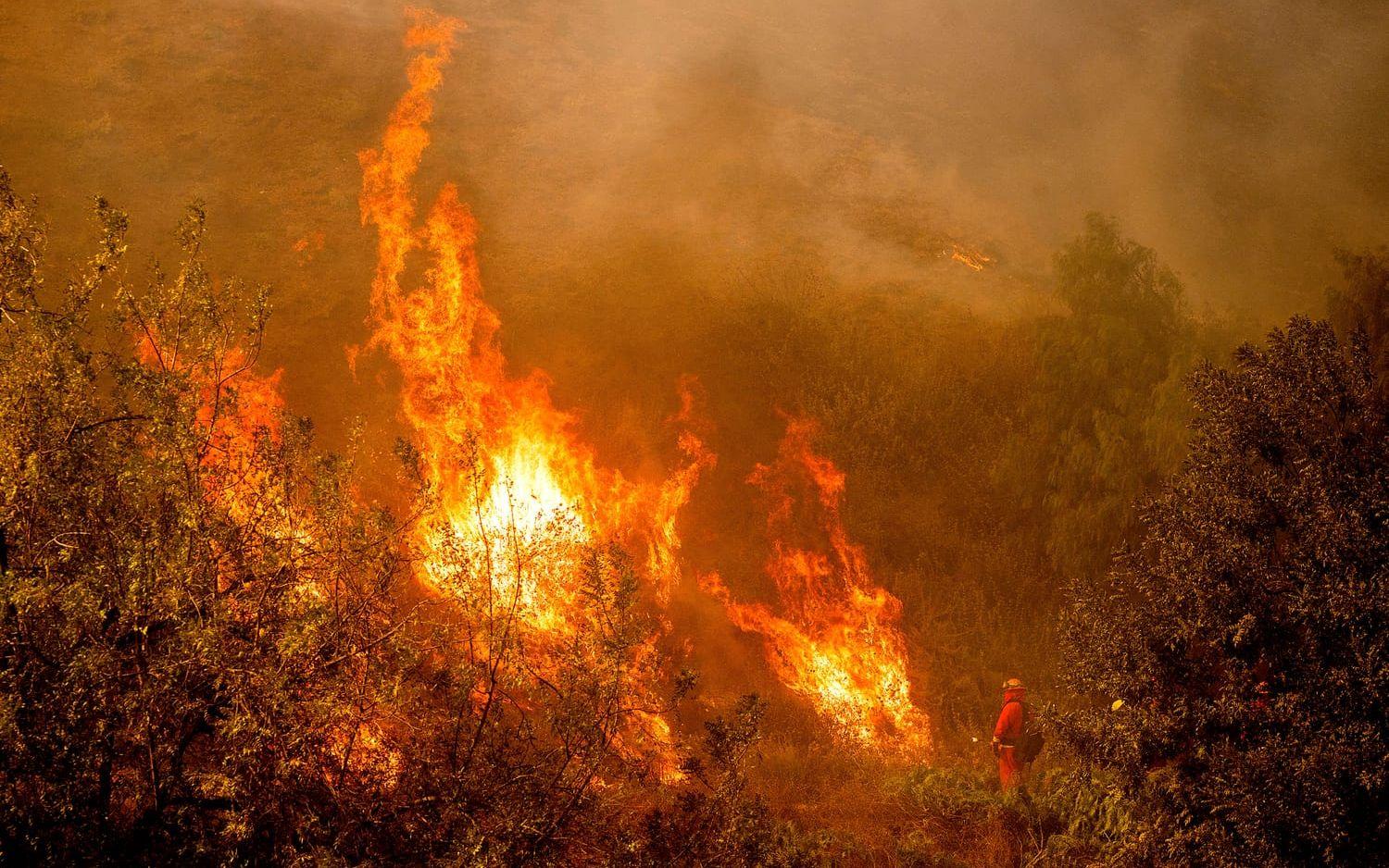 En brandman arbetar för att släcka de pågående skogsbränderna i södra Kalifornien.