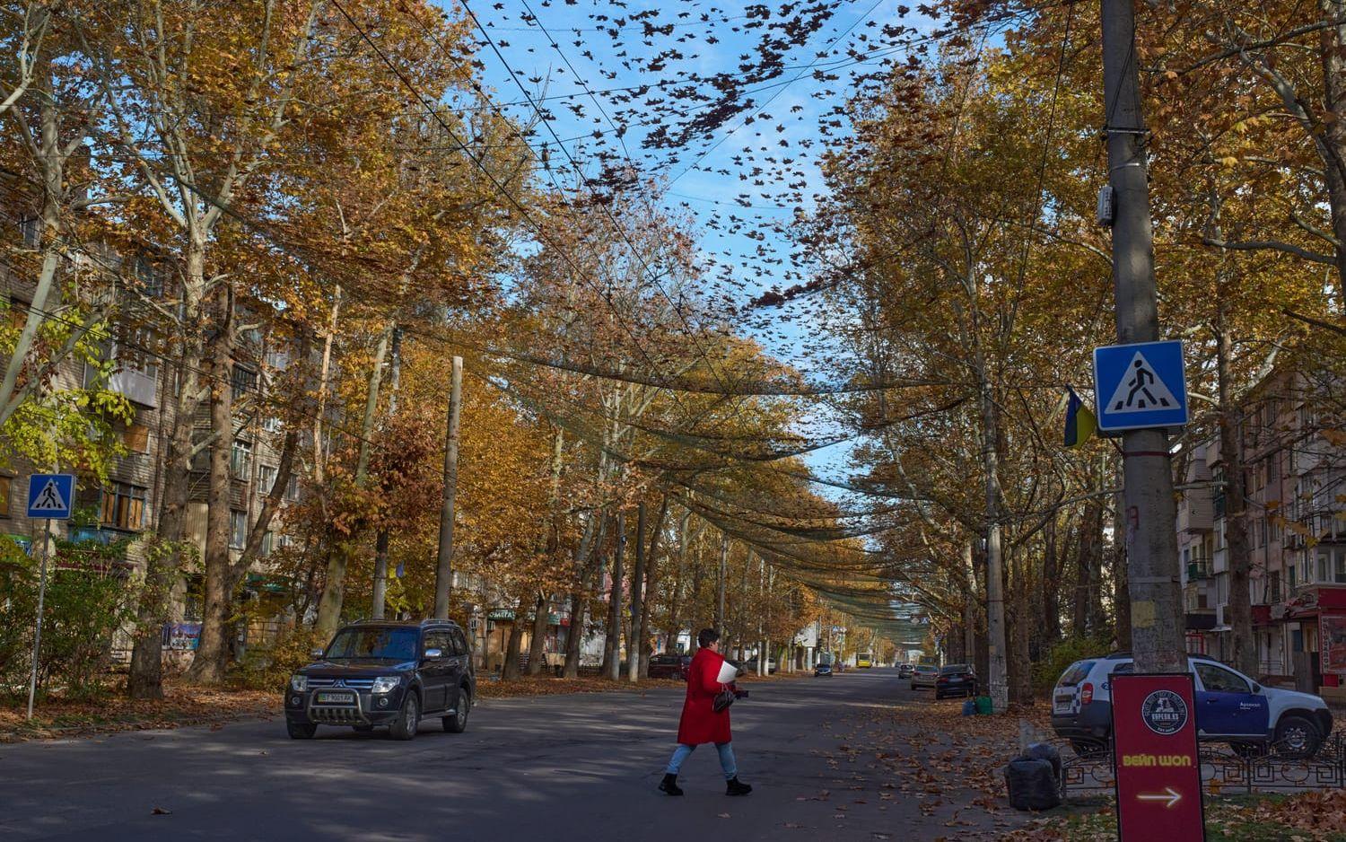 Över Chersons gator hänger skyddsnät som ska ge ett första skydd mot anfallande ryska drönare. Bilden togs den 3 november.