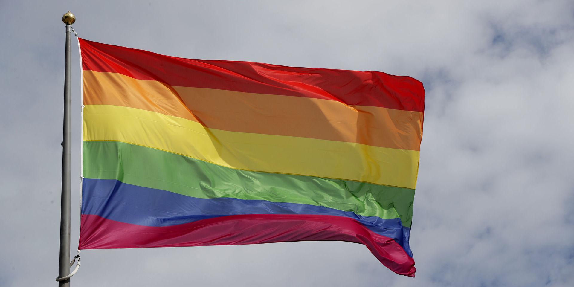 Regnbågsflaggor är inte att betrakta som politiska symboler, enligt ett nytt beslut.