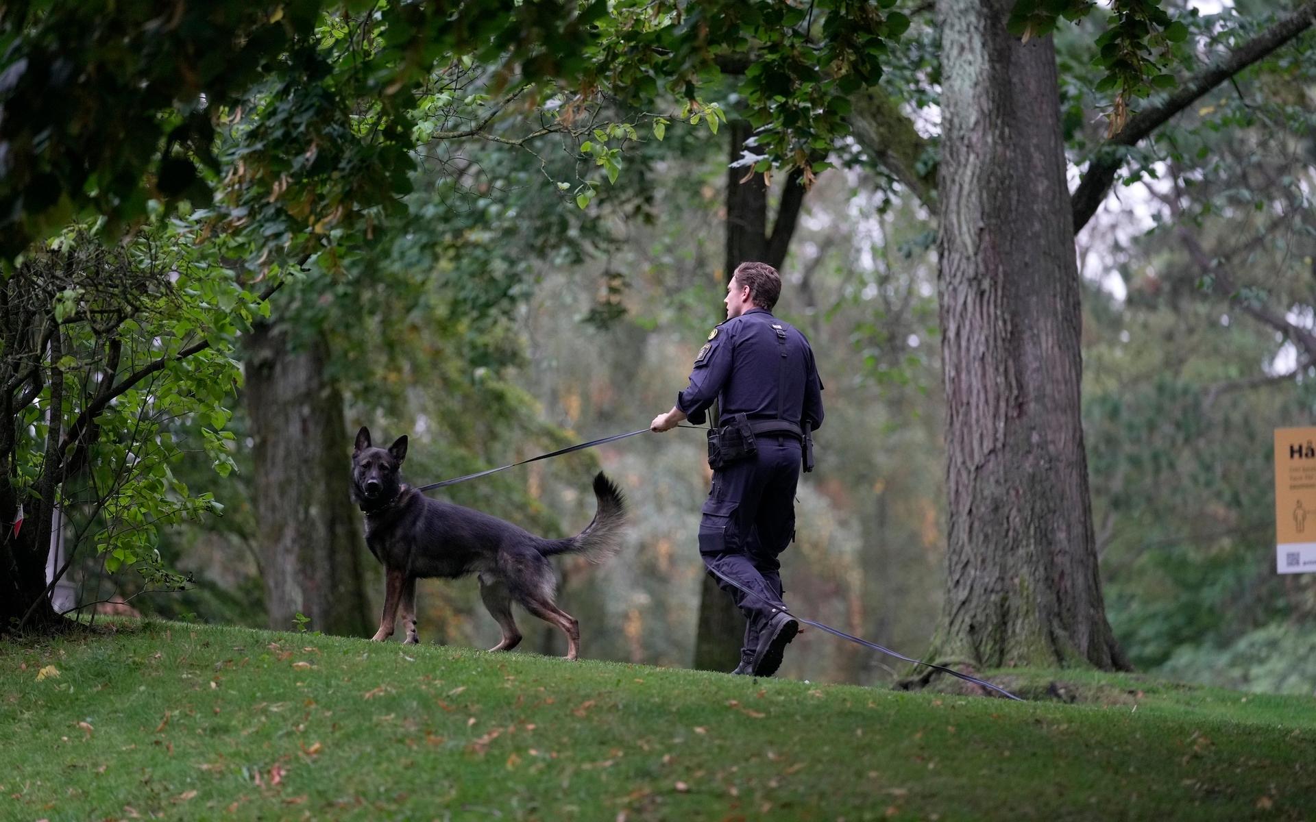Enligt GP:s fotograf på plats har två hundpatruller anlänt till parken.