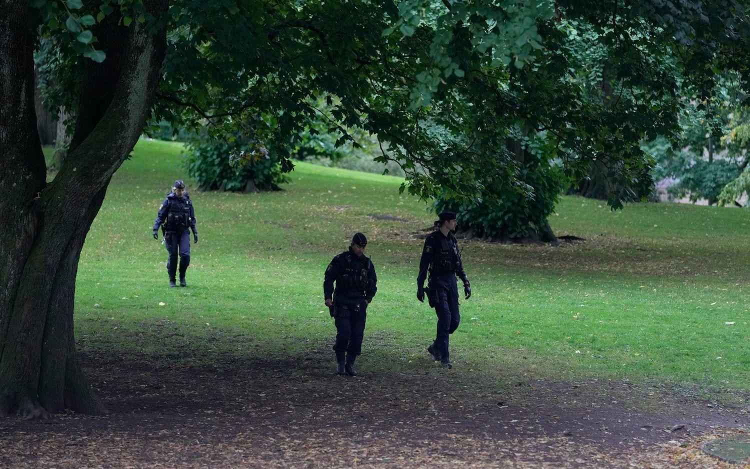 Polisen söker igenom parken efter att maskerade personerna försvunnit.
