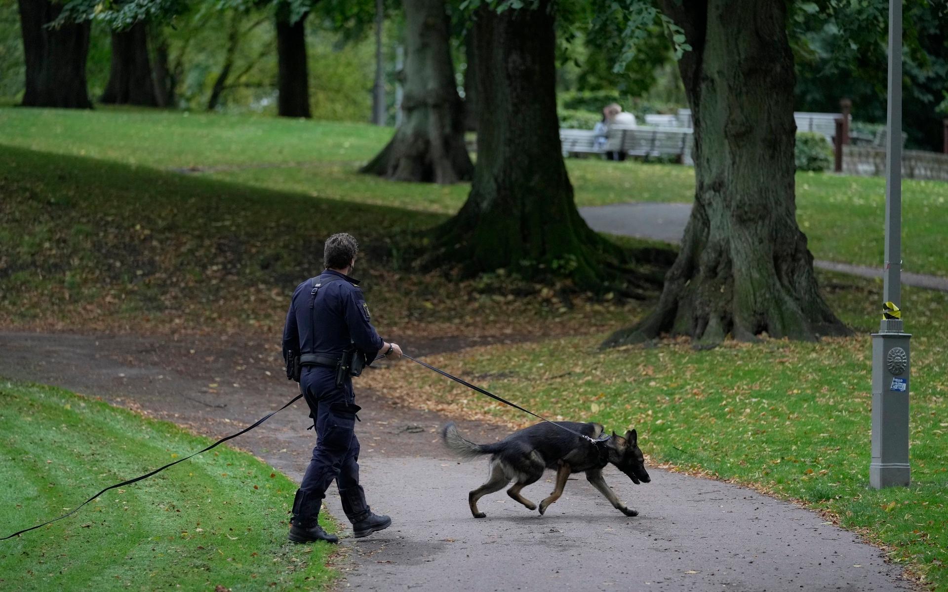 Enligt GP:s fotograf på plats har två hundpatruller anlänt till parken.