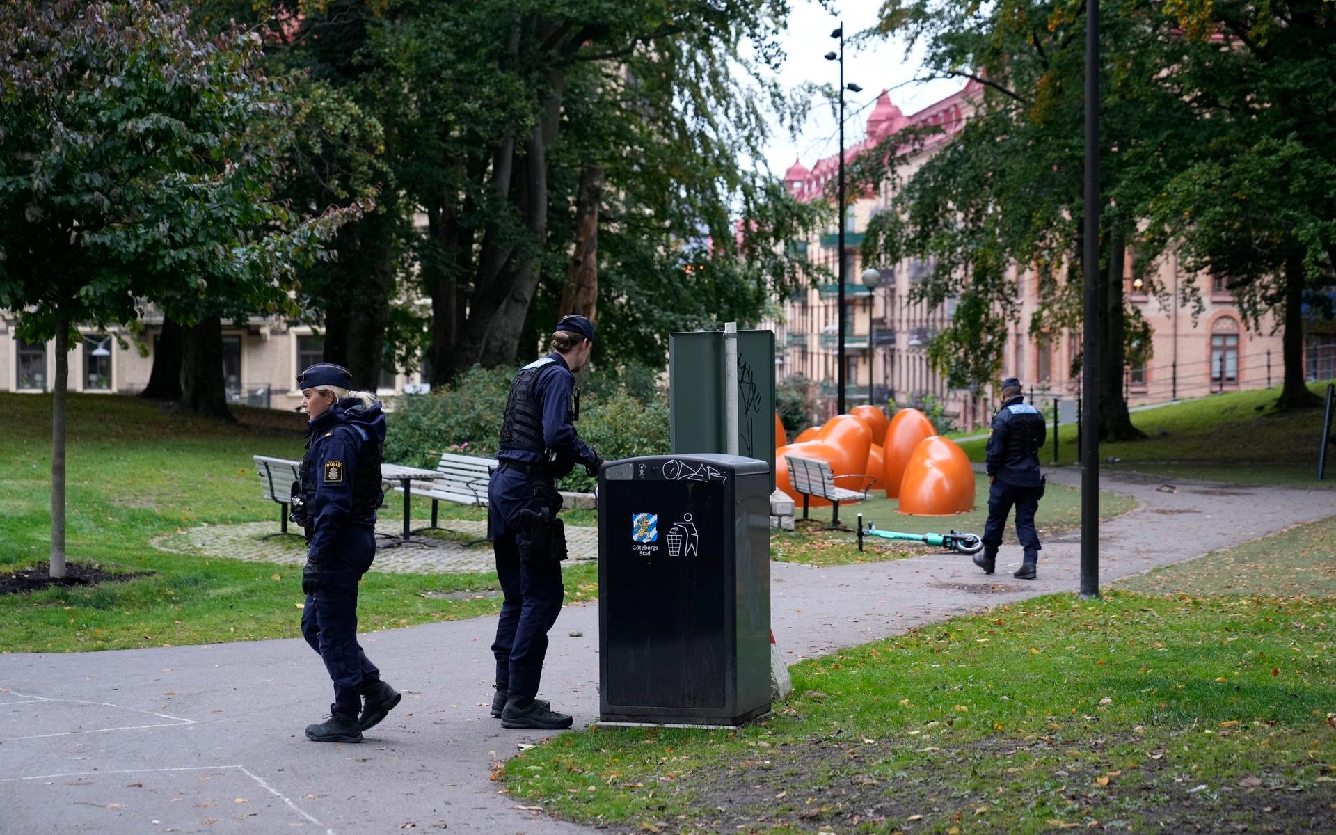 Polisen söker igenom parken efter att maskerade personerna försvunnit.