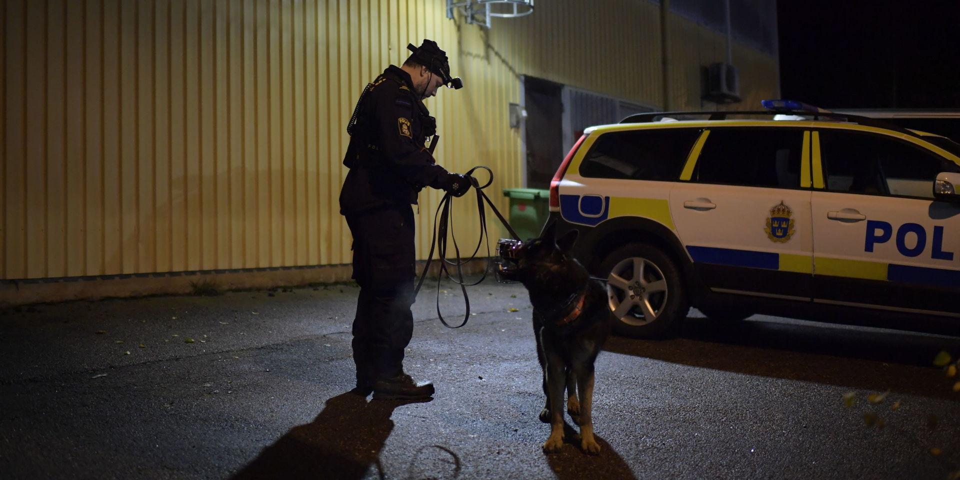 Polisen söker med hundar efter Wilma i trakterna kring Ljungskile. 