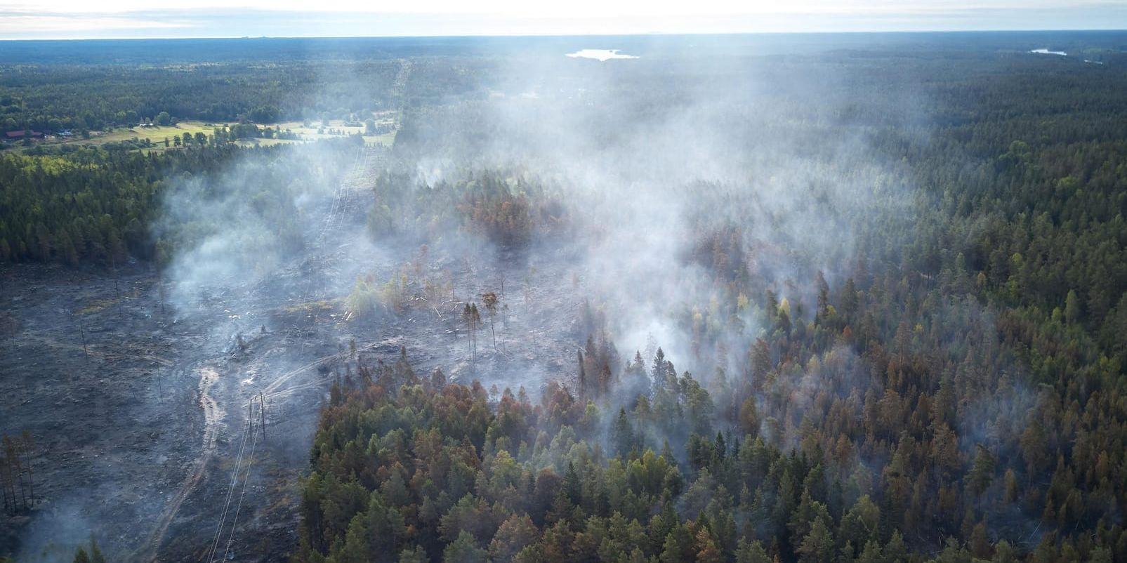 Tidigare i veckan brann det nordväst om Oskarshamn efter att en kraftledning fallit ner över träd. Branden är bara en av flertalet skogsbränder hittills i sommar.