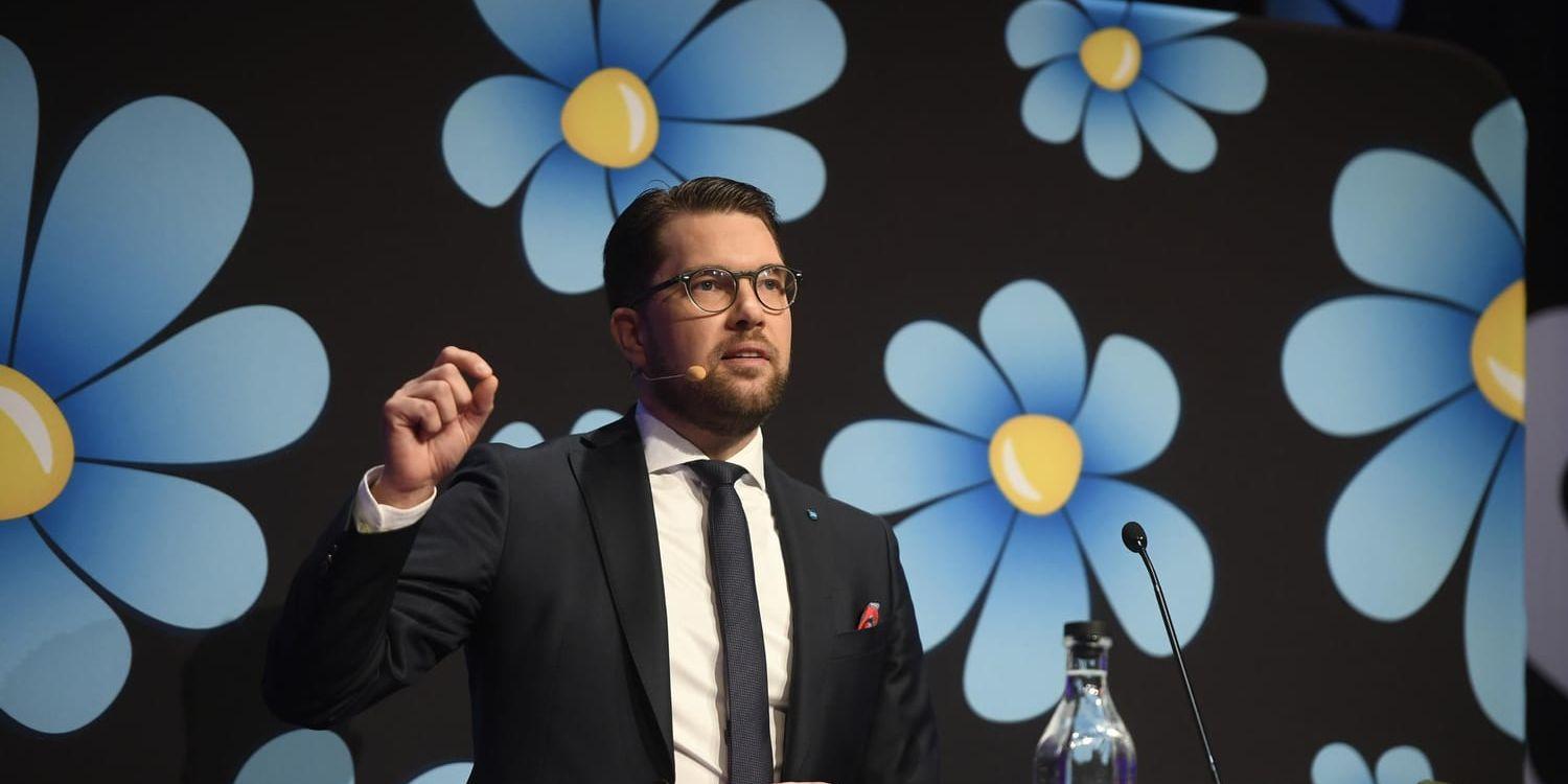 Jimmie Åkessons parti ser ut att ha bromsat sitt väljartapp. Arkivbild.