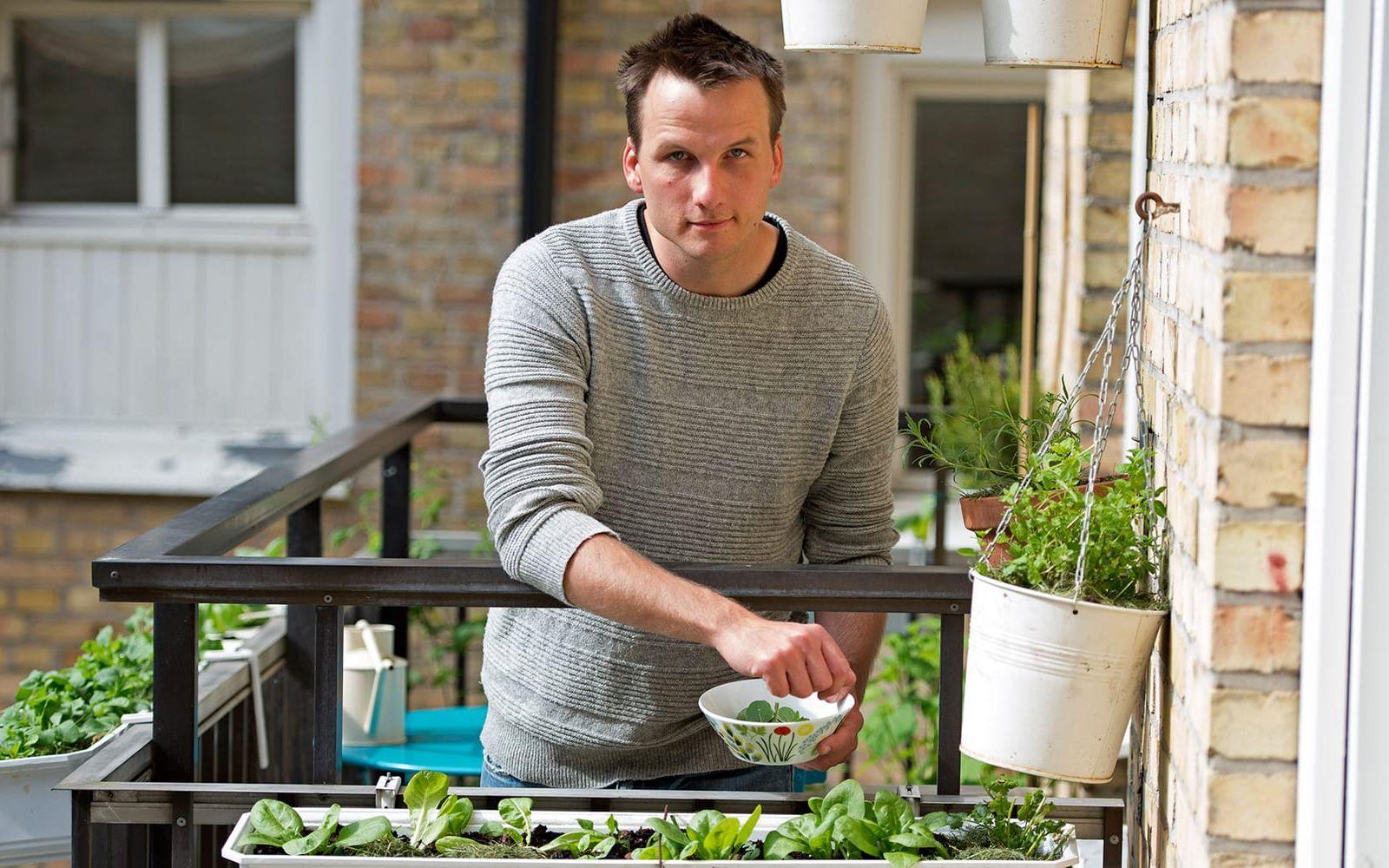 Niklas Hjelm visar hur han odlar på sina balkonger. Foto: Björn Lindgren/TT