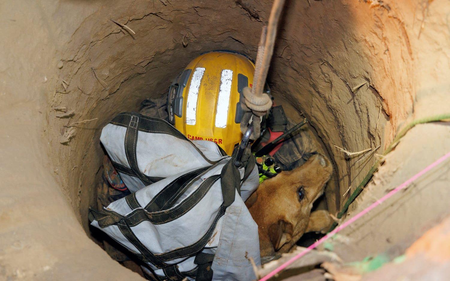 Hålet var 45 meter djupt och flera säkerhetsåtgärder fick göras innan Cesar kunde räddas.
