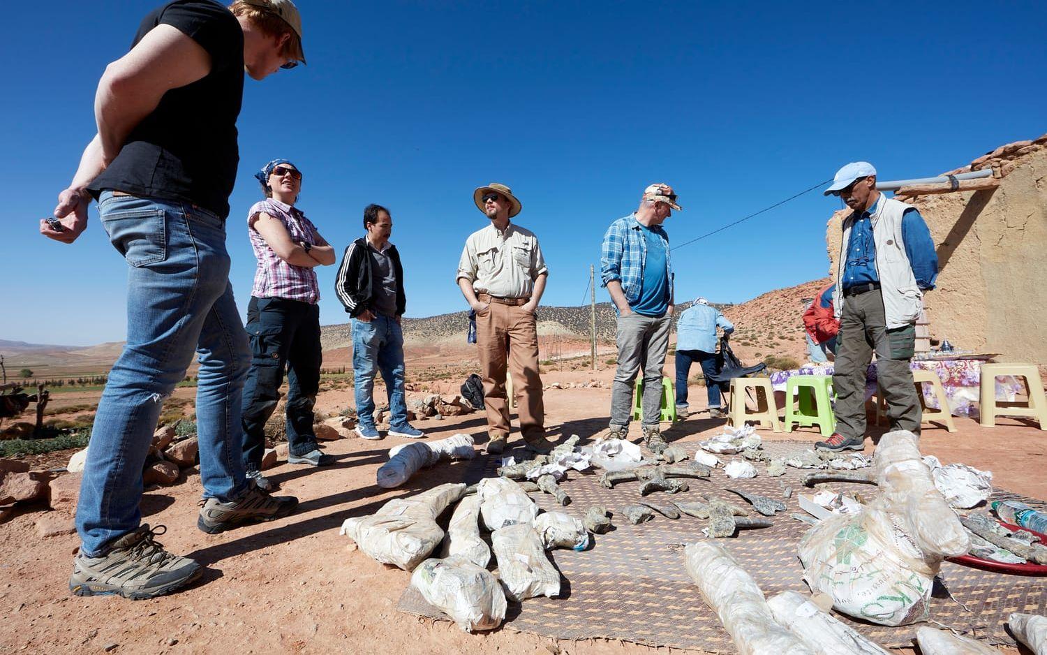 En lokal bonde räddade fossilerna efter en störtflod. "Det var utan tvekan min karriärs höjdpunkt", säger Susannah Maidment (tvåa till vänster i bild). 