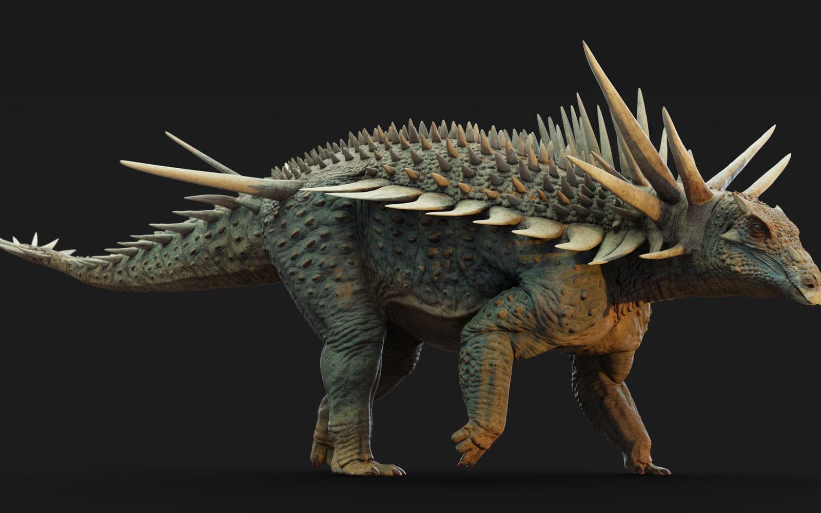 Så här tänker sig forskarna att spicomellus kan ha sett ut.