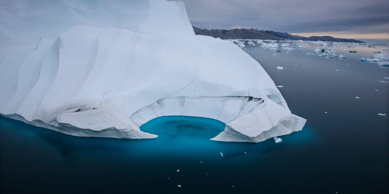 Klimatförändringarna är ett stort hot mot Arktis isar. 