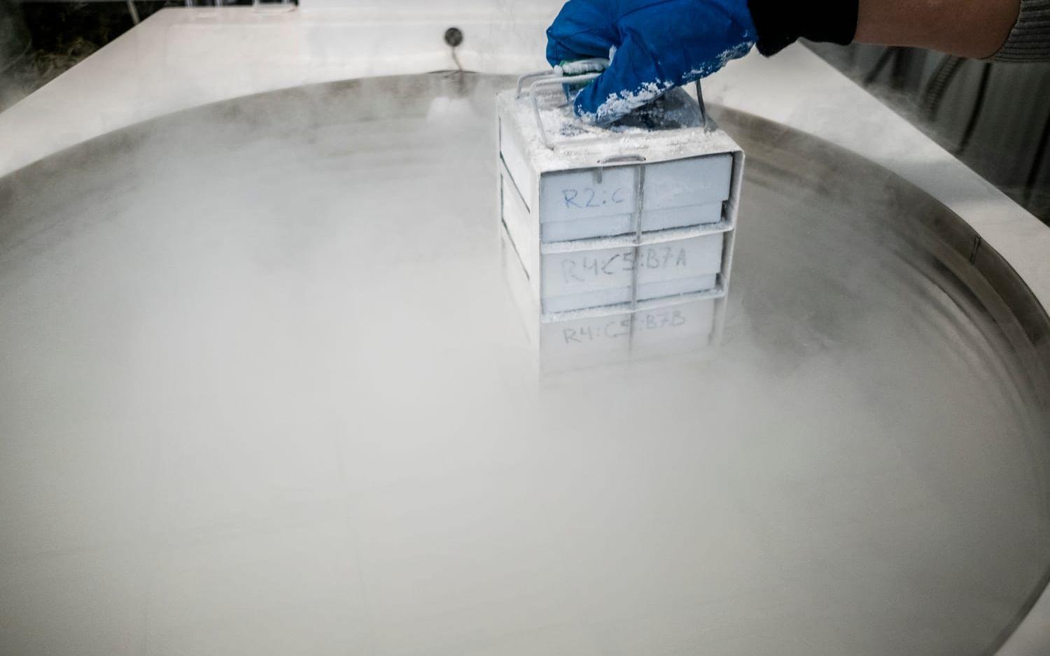 Forskning är ett område som drabbas när patientjournaler inte bevaras för framtiden. Arkivbild.