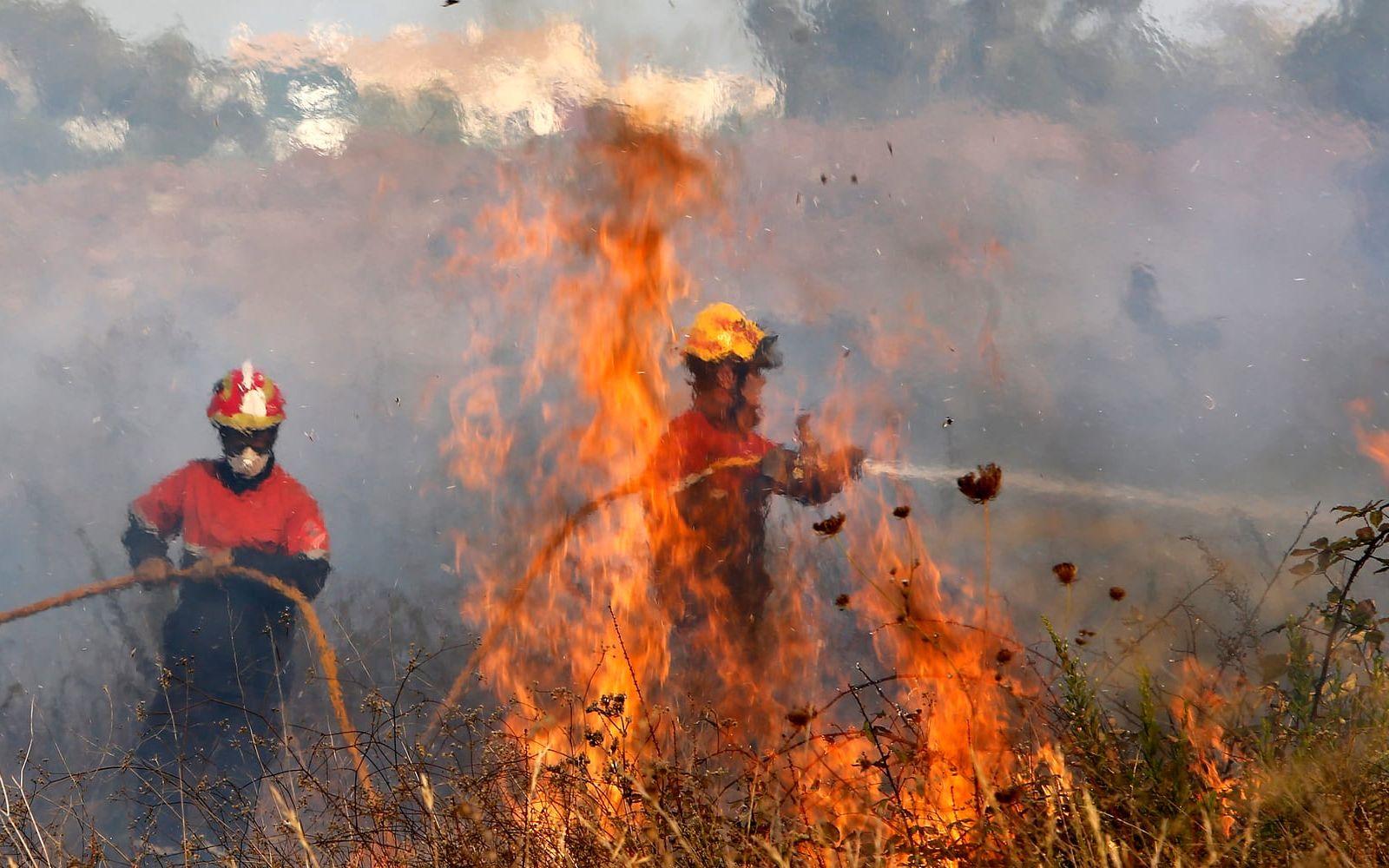 Det är just nu mycket torrt på många håll i Europa. Under juli har desssutom kraftiga skogsbränder rasat i bland annat Kroatien, Portugal och Spanien under den förra värmeböljan. Bild: TT
