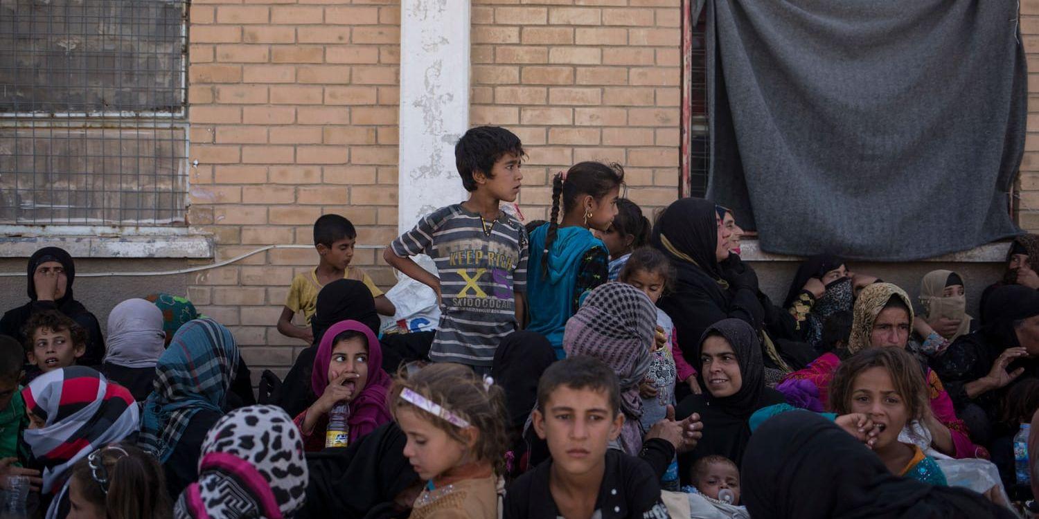 Utsatta. Kvinnor och barn från Hawija vid ett genomgångsläger. Några män har separerats från sina familjer misstänkta för samhörighet med IS.