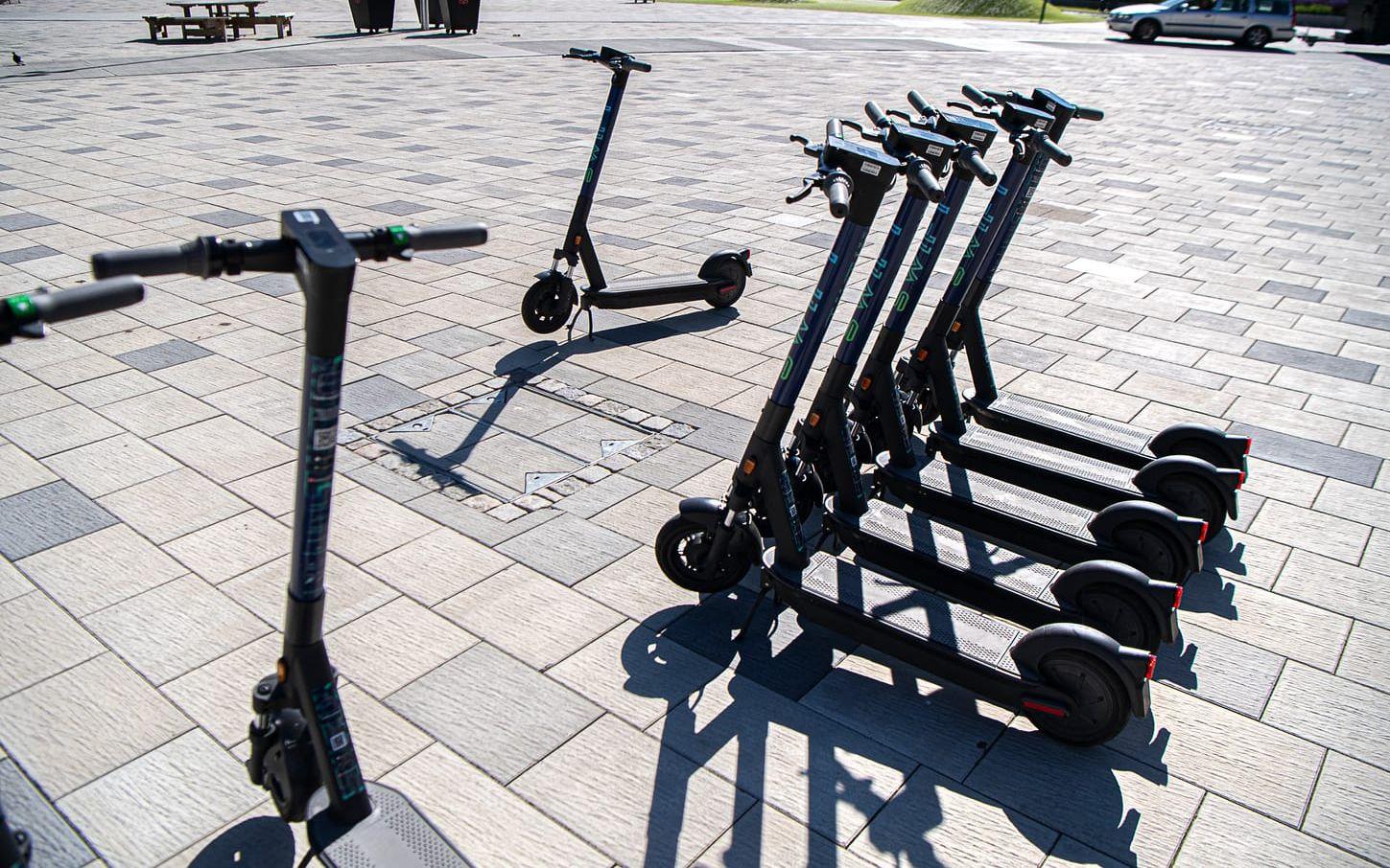 I år har fyra företag tillstånd att ställda ut elsparkcyklar i Göteborg. 