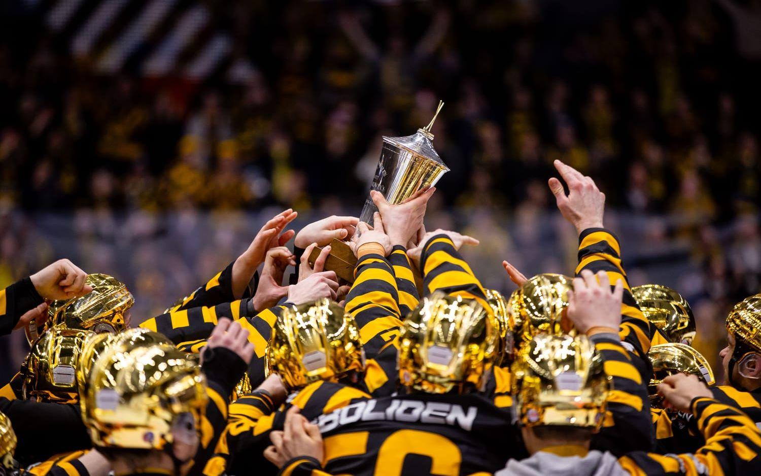 Guldlycka i norr. Skellefteå firar SM-guld efter finalseger över Rögle 2024. Nu möts lagen i finalserien igen.