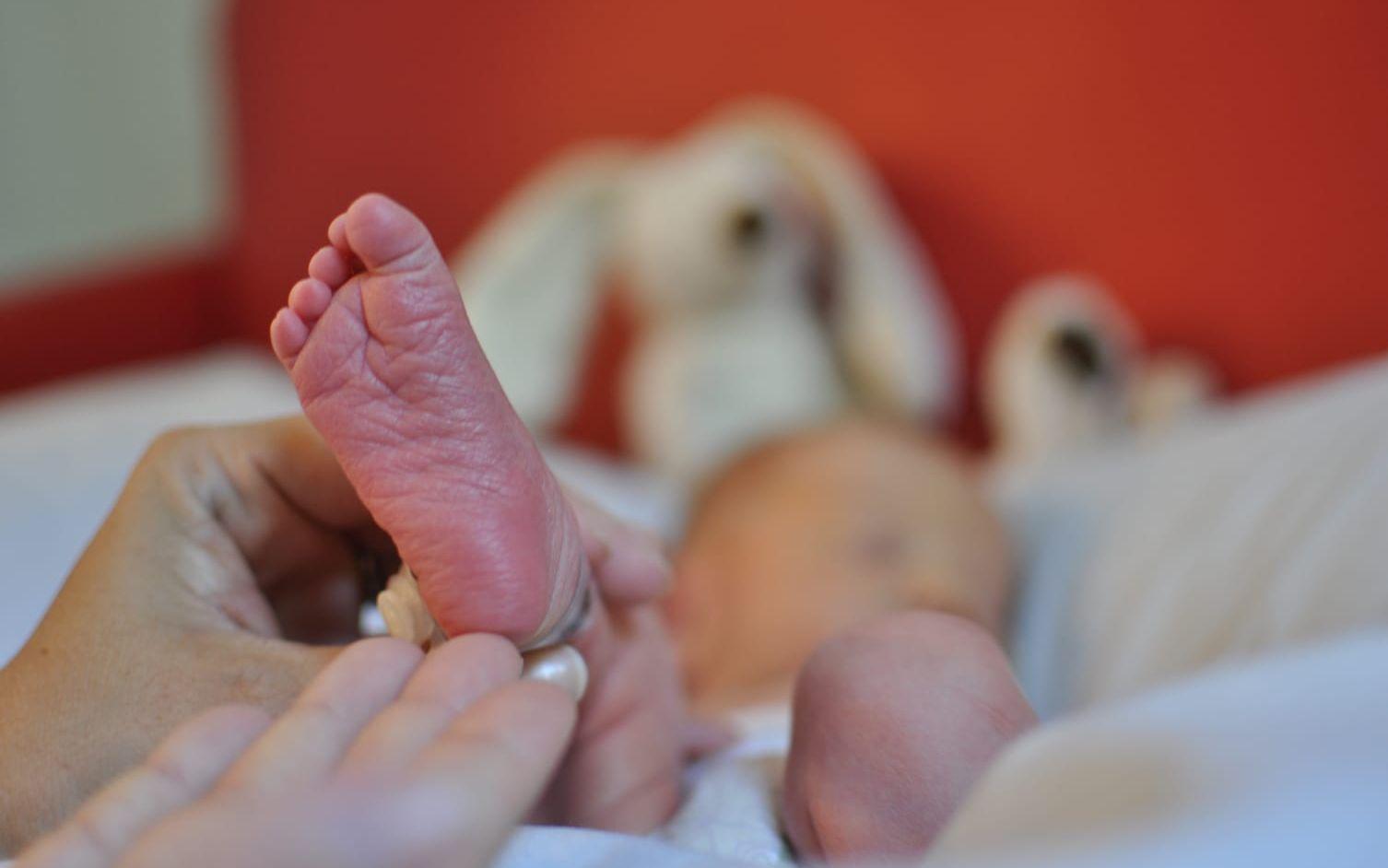 Bebislycka på gång under SM-finalserien. Arkivbild.