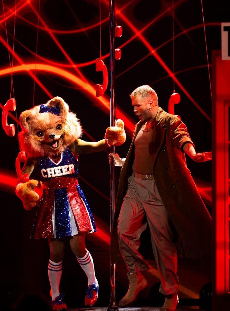 Edvin Törnblom hade valt en Lady Gaga-låt till Pom Pom Pomeranians nummer. Pressbild.