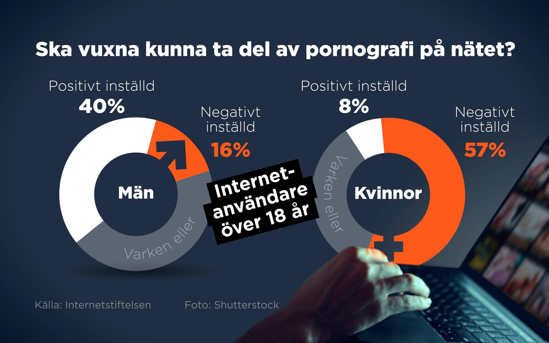 Det är stora skillnader i mäns och kvinnors inställning till pornografi, enligt undersökningen Svenskarna och internet.