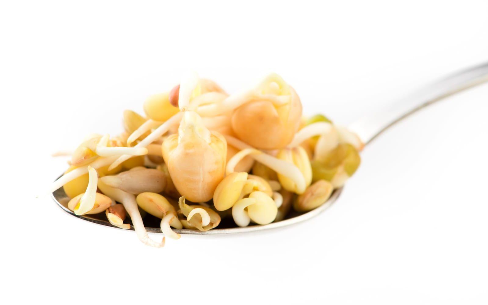 Groddar kan användas i stället för pasta eller ris i matlagningen. Foto: Tanya Sid/Shutterstock.com