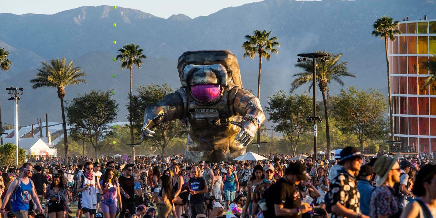Coachella är en festival fylld av solsken, musik – och genitalherpes.