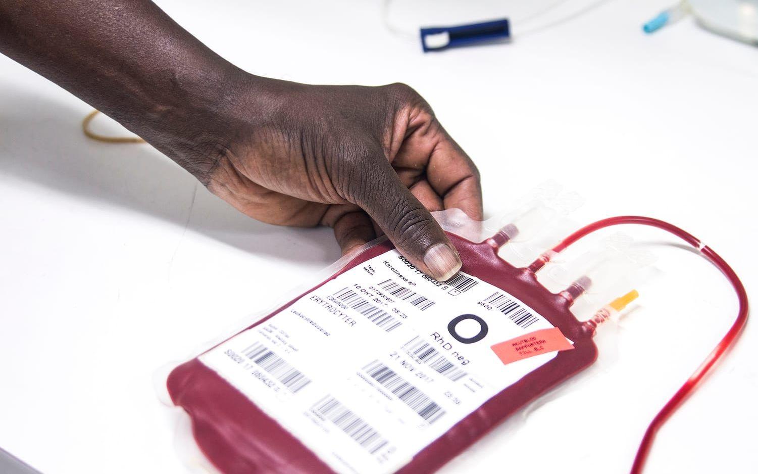 En av de frågor som hamnat i fokus är Jehovas vittnens ovilja att ta emot blodtransfusion. Regeringen har hänvisat till att motståndet riskerar minderåriga barns liv och hälsa. Arkivbild.