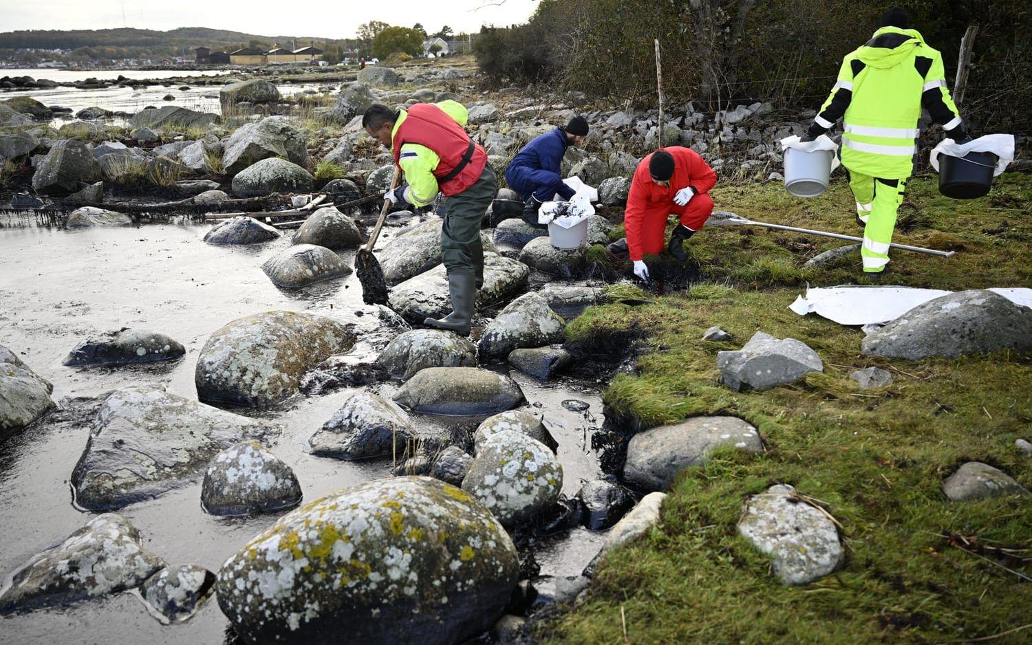 Saneringen av olja från naturreservatet Spraglehall vid Krokås började den 23 oktober, dagen efter att fartyget Marco Polo gick på grund.