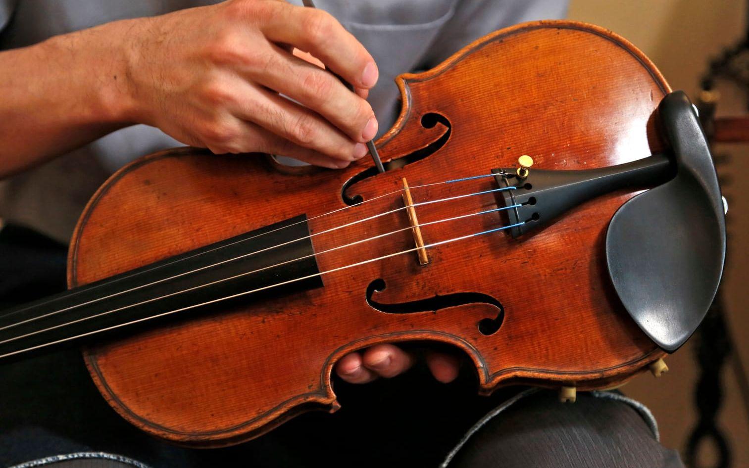 En Stradivarius-fiol justeras. Bilden föreställer en annan fiol tillverkad av Antonio Stradivari än den som uppges ha hittats i Frankrike. Arkivbild.