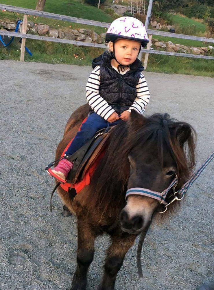 3-åriga Märta kommenterar inte bara ridsport, hon är dessutom ryttare själv. Bild: Läsarbild