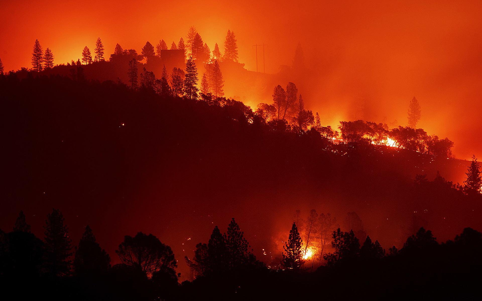 Skogsbranden Camp Fire rasar längs en ås nära Big Bend, Kalifornien.