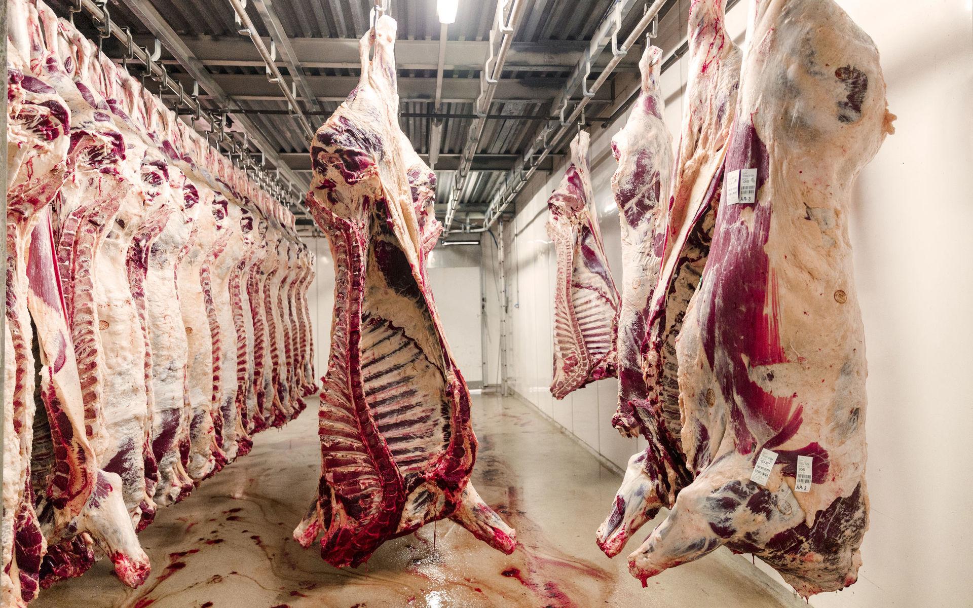Köttindustrin fungerar som en reservoar för smitta och som en genetisk brygga mellan vilda djur och människor.