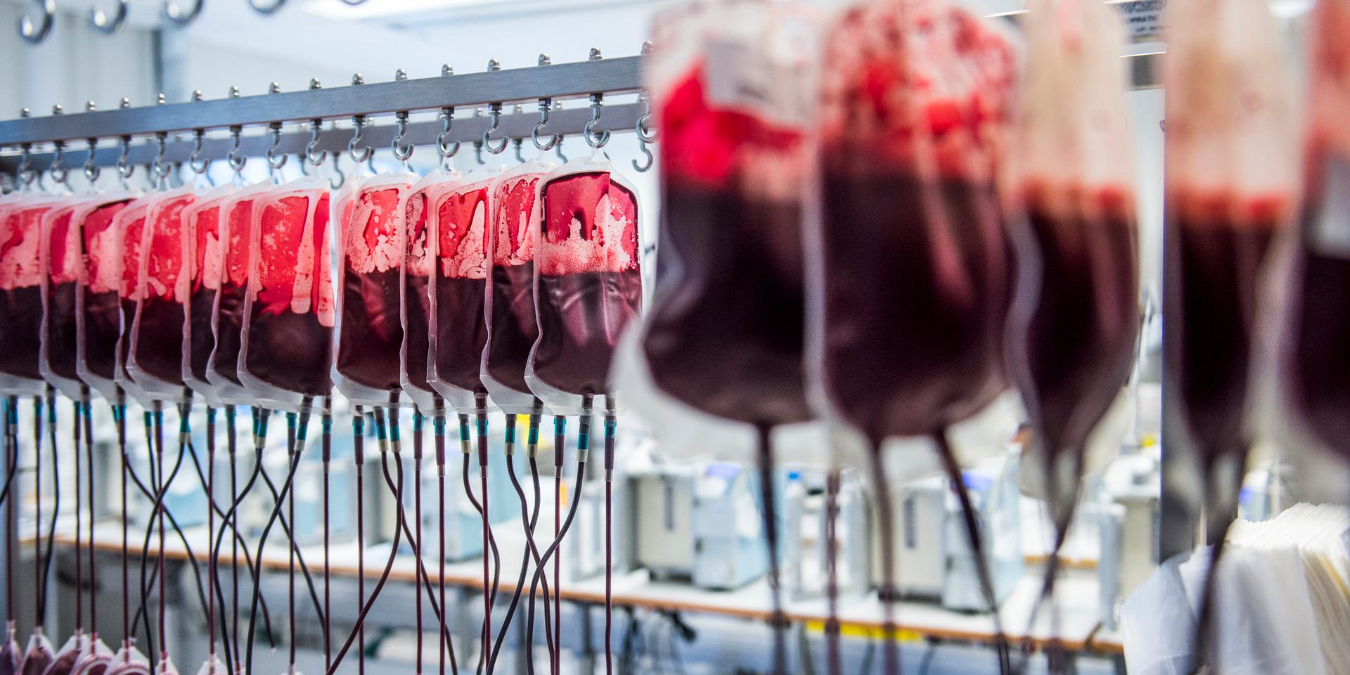 Blodet som användes vid behandling av bland annat blödarsjuka i Storbritannien på 70- och 80-talen köptes från tusentals donatorer och det var inte ovanligt att dessa ingick i högriskgrupp för att bära på HIV eller Hepatit C.