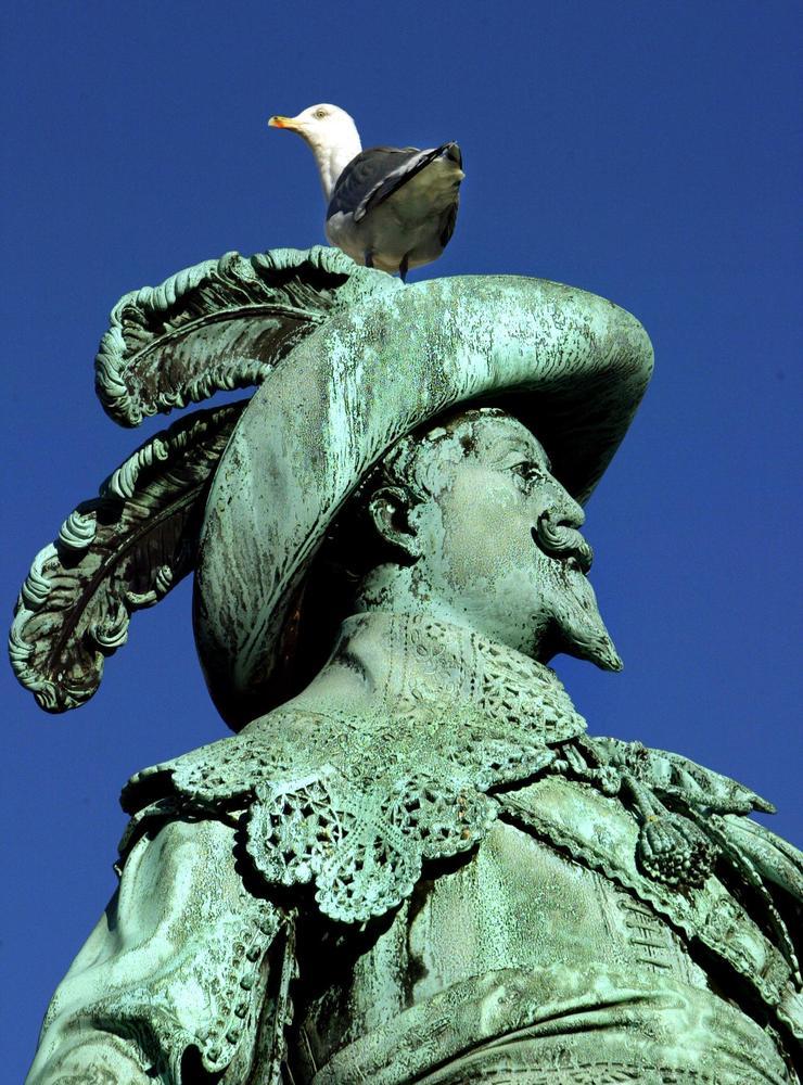 Försenad. Gustav Adolf-statyn.