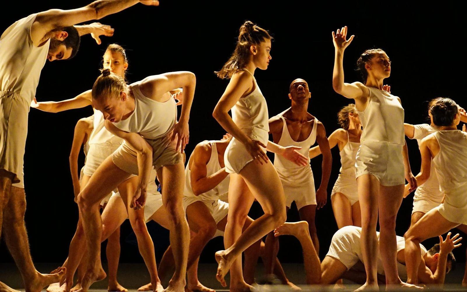 Batsheva dance company är baserat i Tel Aviv. Last work spelas även på Göteborgsoperan lördag, och blir en stark avslutning på en bra festival. Foto: Gadi Dagon