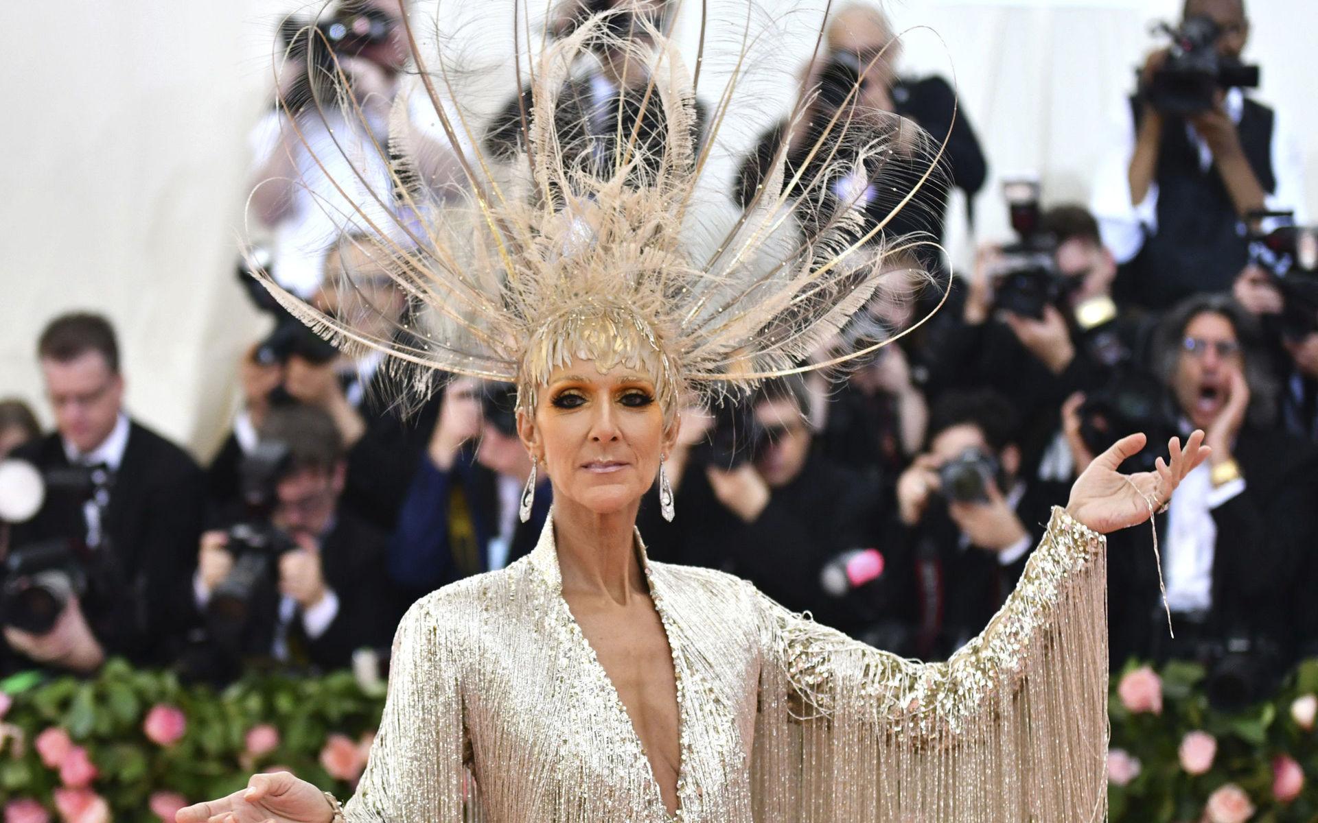 Inte ett hårstrå låg fel på Celine Dion. Eller om det var tvärtom.