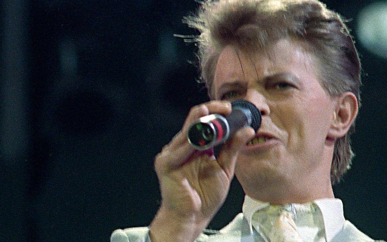 David Bowie. BILD: TT
