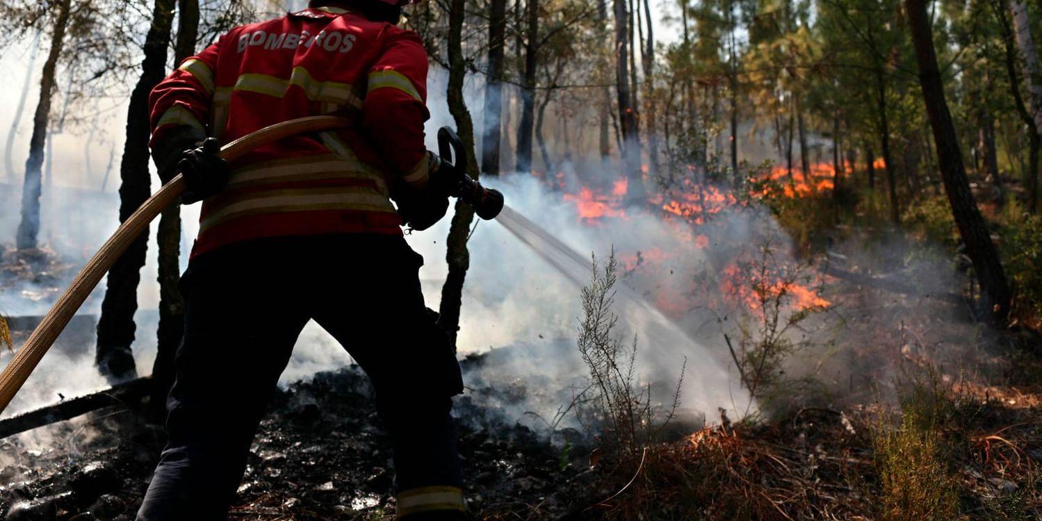 Brandmän bekämpar en skogsbrand i portugisiska Pucarica under fredagen.