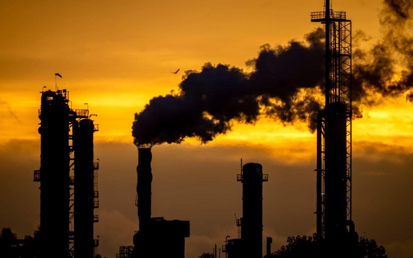 BASF kemifabrik i Ludwigshafen, Tyskland. Arkivbild