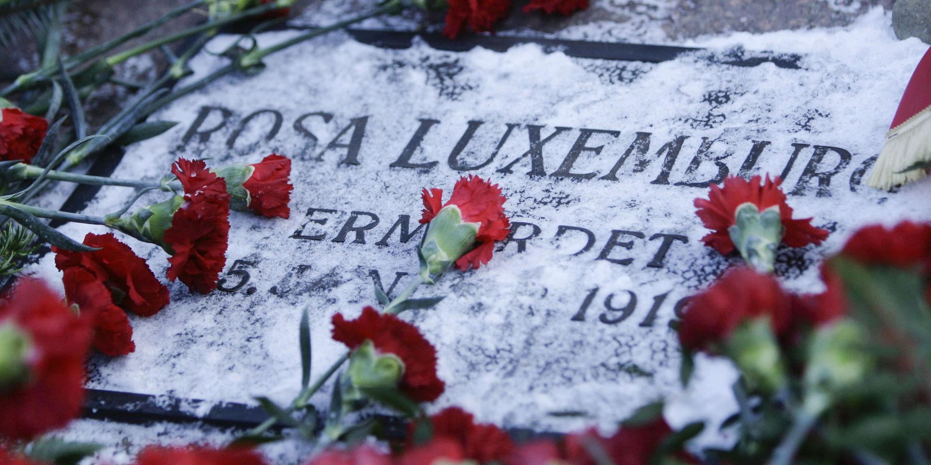 Röda nejlikor på Rosa Luxemburgs grav på Zentralfriedhof Friedrichsfelde i Berlin. Hon mördades den 15 januari 1919.