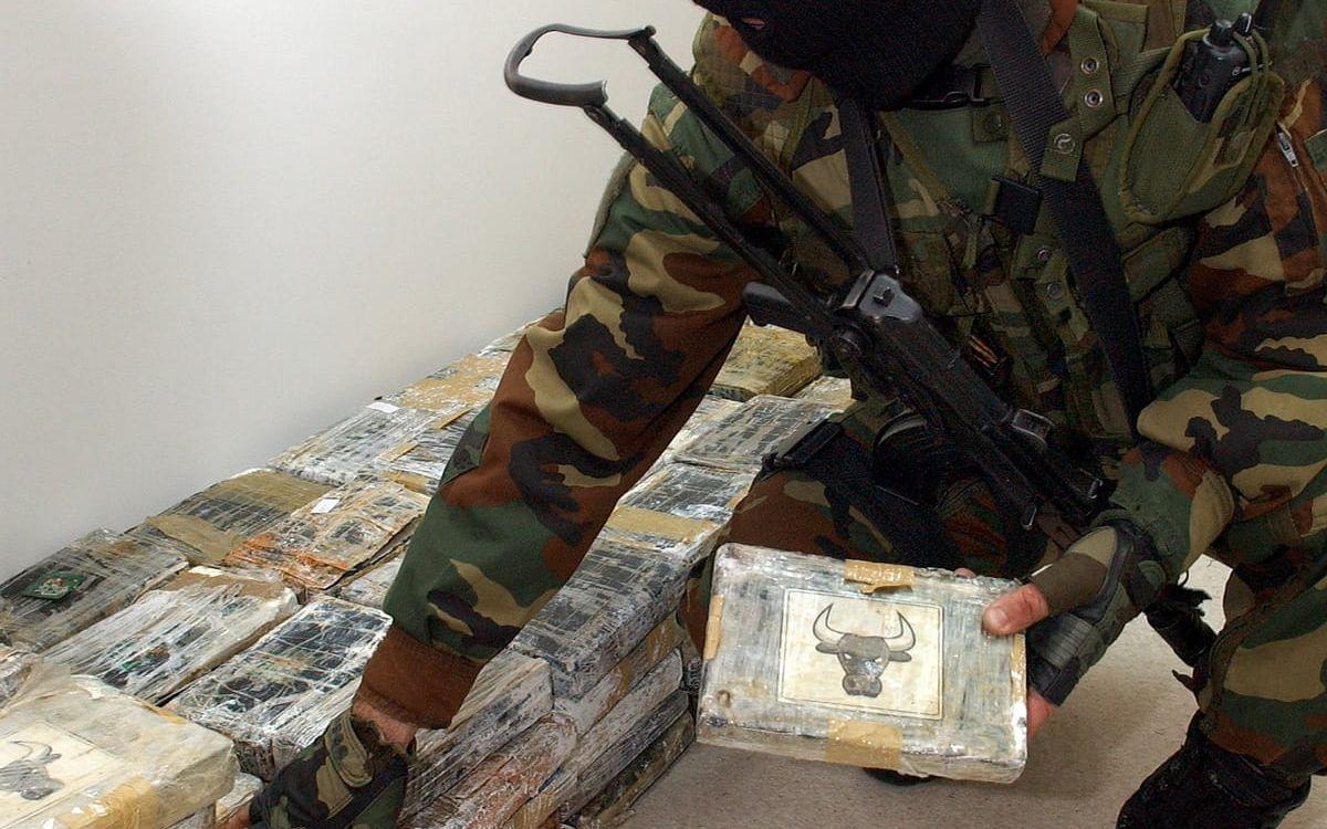 483 kilo kokain som beslagtagits i Makedonien, som kommit in via Montenegro och Kosovo, förstörs. (Arkivbild) 
