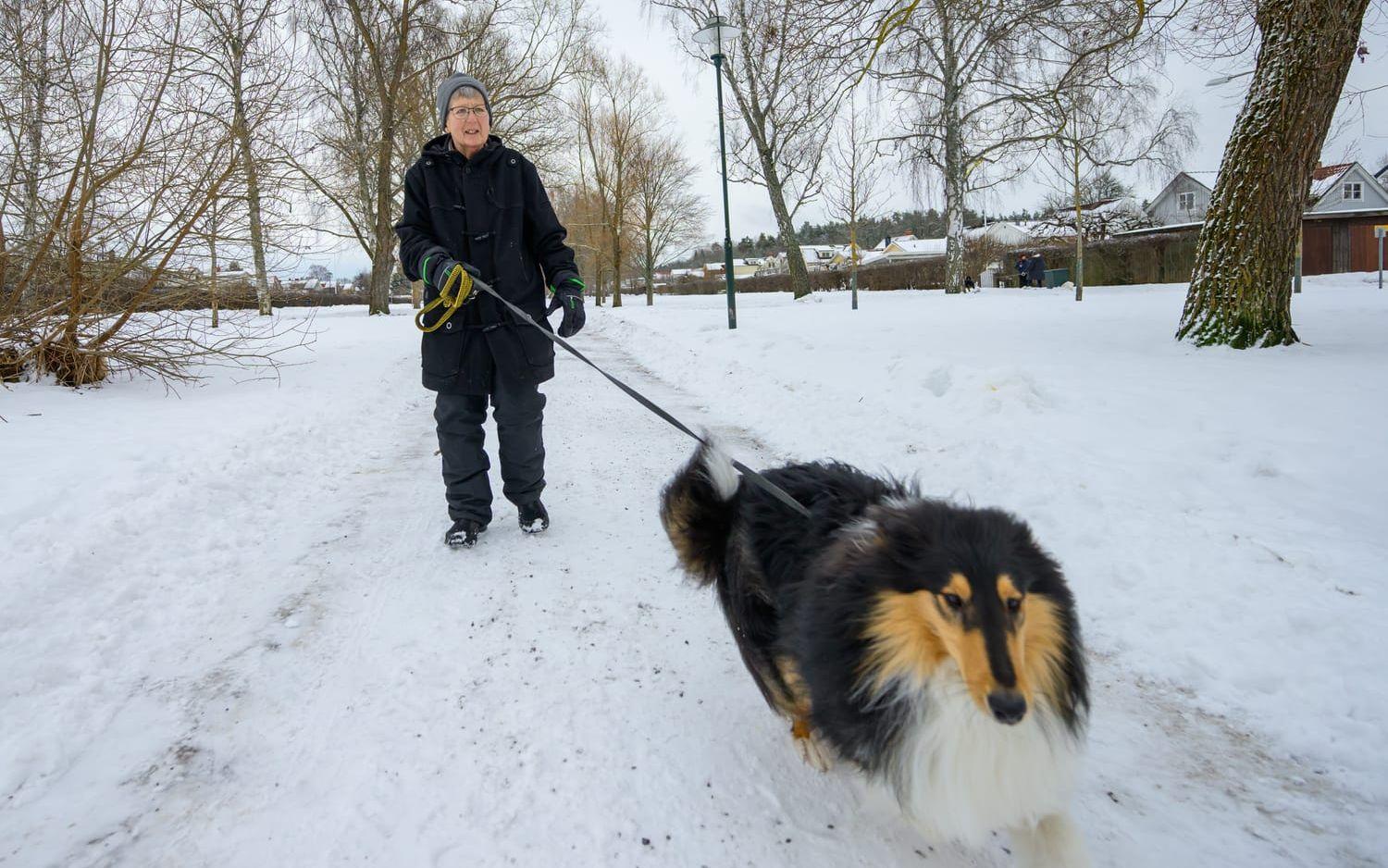 Hunden Charlie fick i sig cannabis av misstag. Veterinärbesöket kostade mer än 20 000 kronor. "Jag hoppas att det aldrig händer igen", säger matte Kerstin Jonsson. 