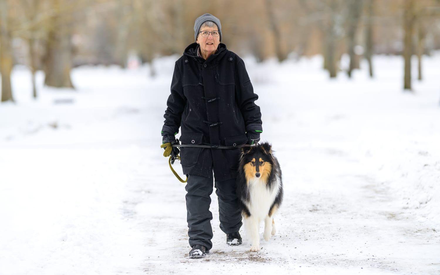 Charlie, som är av rasen långhårig collie, är elva månader gammal.