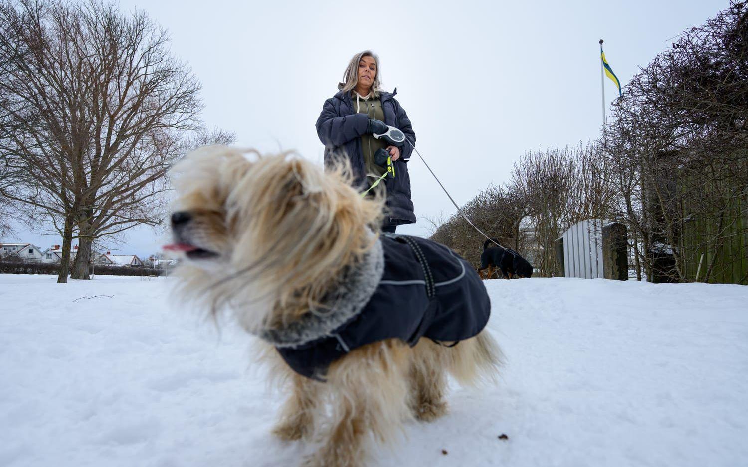 Mona Wallsén med lilla hunden Pontus. I bakgrunden syns rottweilern Brasse.